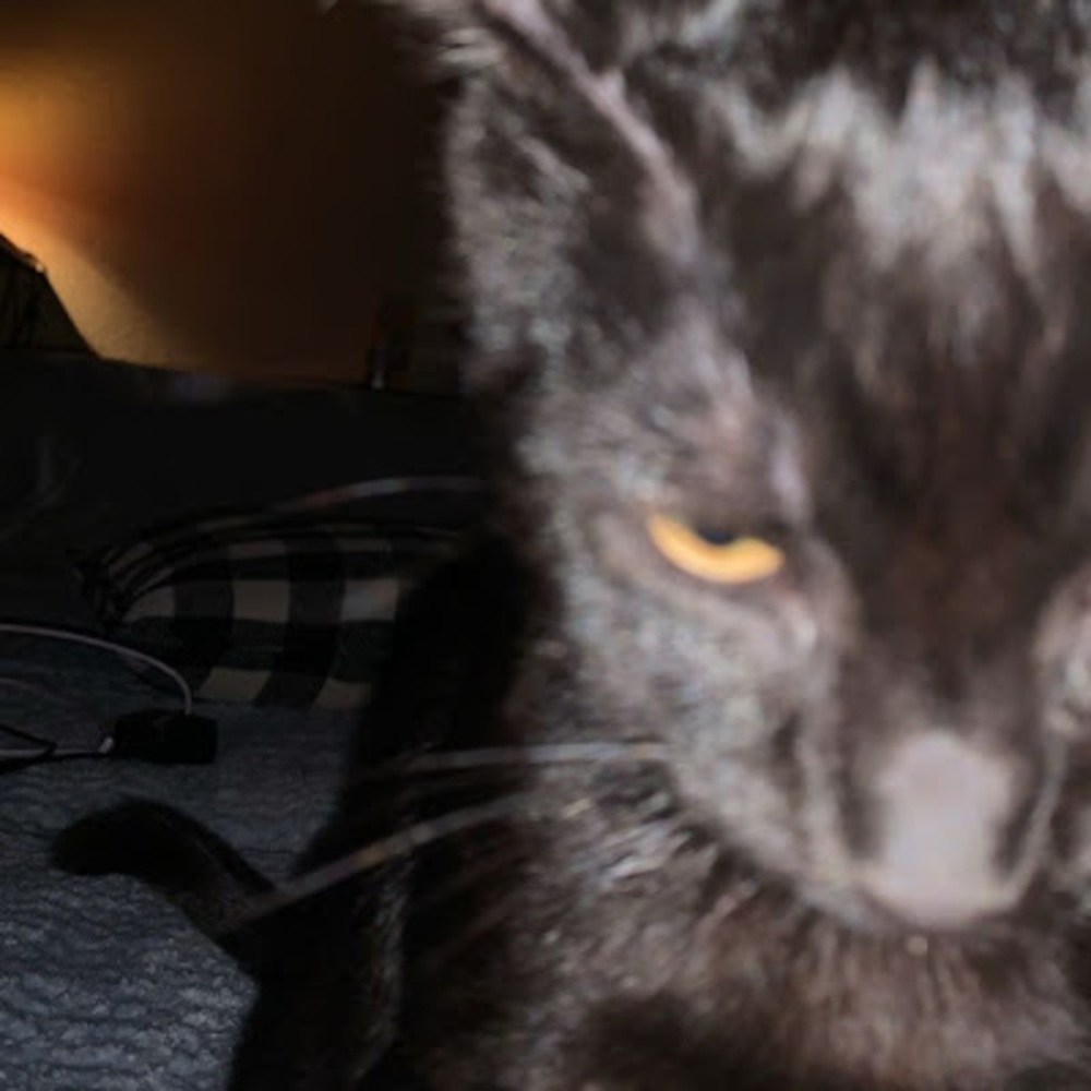 Meet your Posher, Kaitlyn